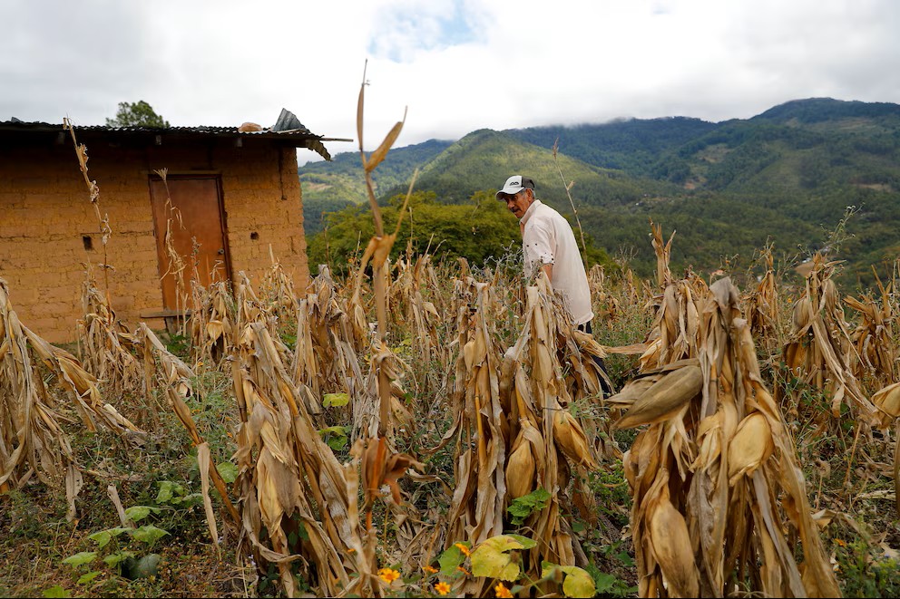El 23% de la población de la región Trinacional enfrenta presión por inseguridad alimentaria